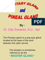Kuliah Ketiga (Pituitary and Pineal Gland)