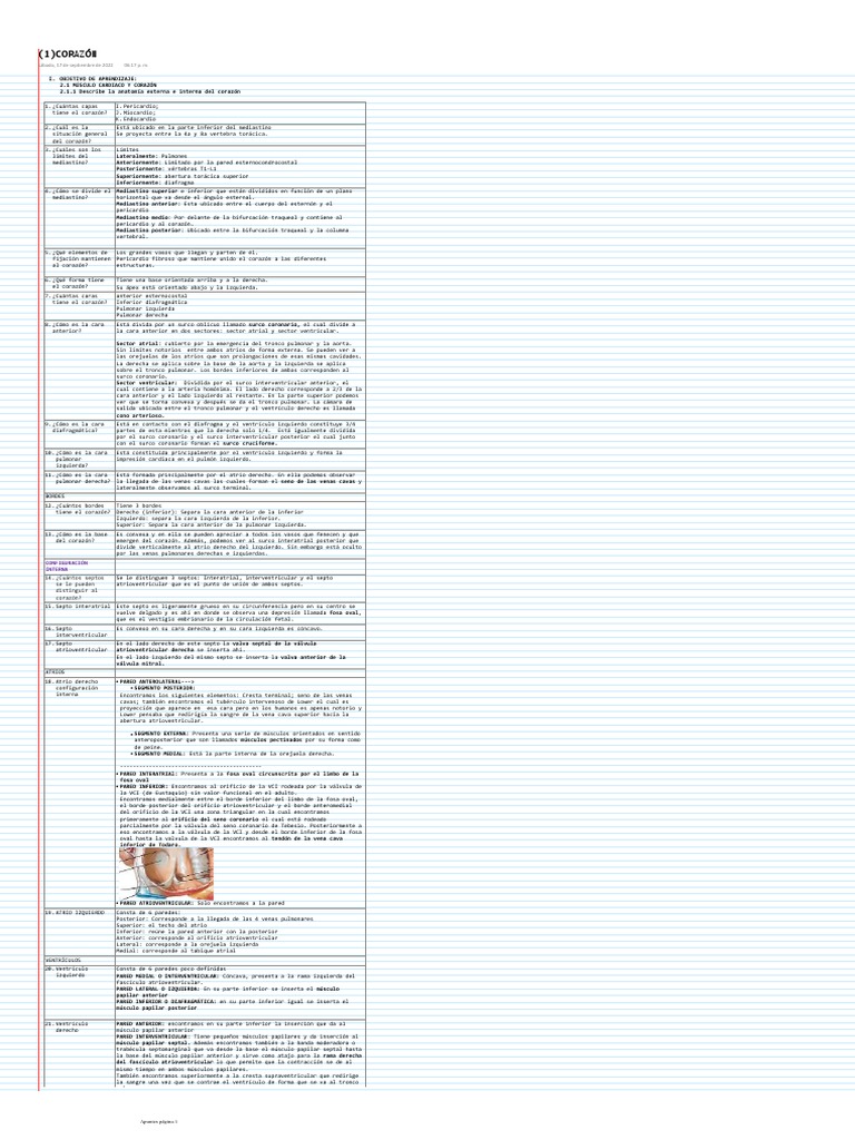 Corazón Pdf Electrocardiografia Corazón