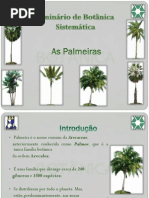 As Palmeiras