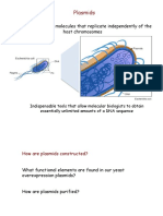 10 Plasmids