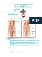 ANATOMI Fisiologi Perkemihan