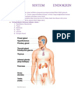 Anatomi Sistem Endokrin Ms Word 2