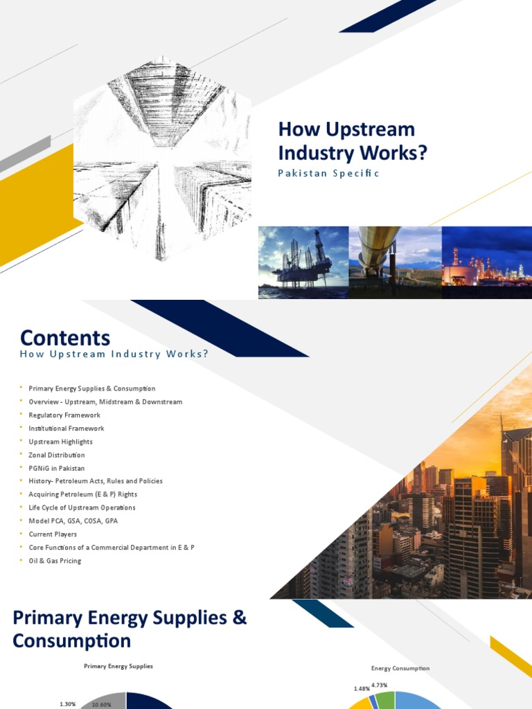 Energy Sector of Pakistan & PGNiG Overview | PDF | Natural Gas | Petroleum