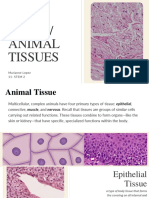 PLANT/ANIMAL TISSUES