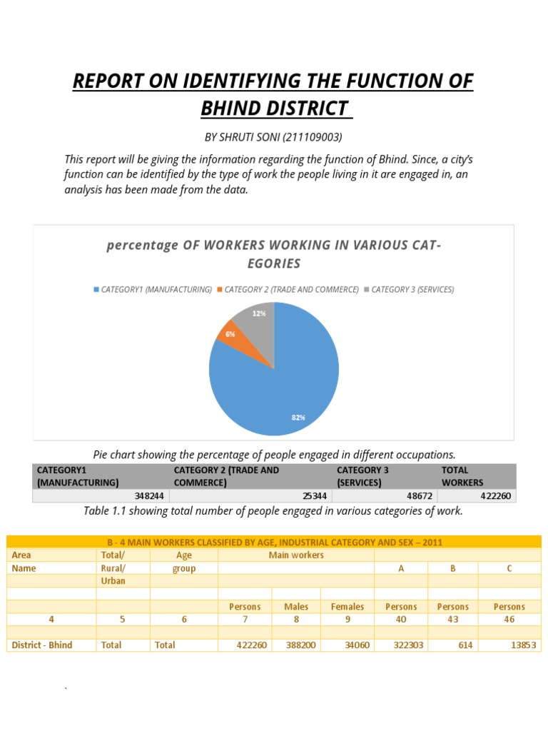 Report On Identifying The Function of Bhind District PDF Welfare Economies