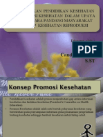 Konsep Promkes DLM Kespro