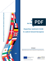 Ghidul de Bune Practici in Expertiza Judiciara Civila in Cadrul Uniunii Europene