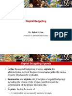 Capital Budgeting W10