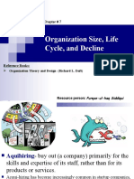 Organization Size, Life Cycle, and Decline (2022) - Last