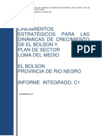 Lineamientos Estrategicos para Las Dinamicas de Crecimiento Del Bolson y Plan de Sector Loma Del Medio