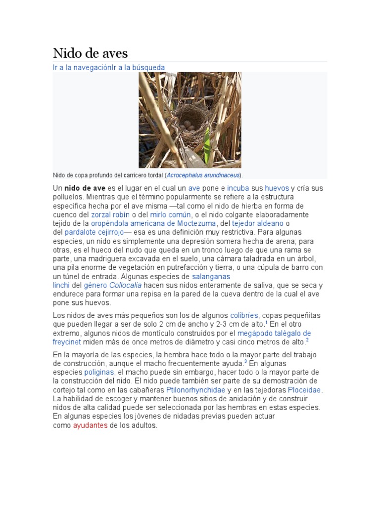 Nido De Aves Pdf