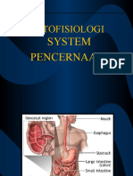 Patofisiologi Pencernaan