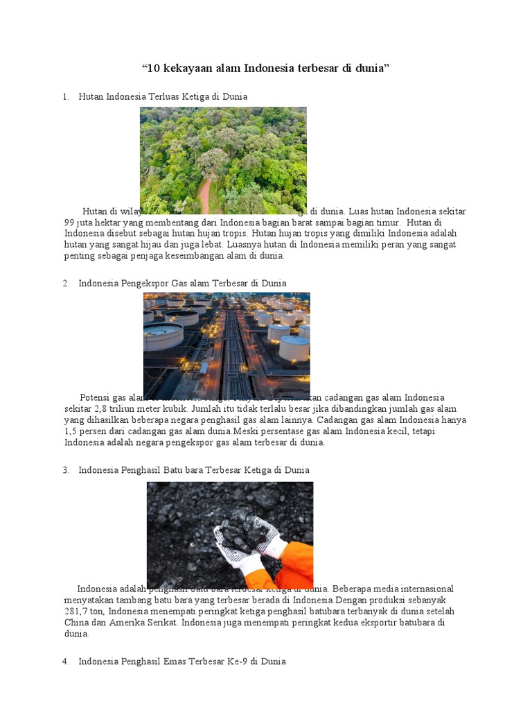 kekayaan alam negara besar