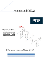 Ribo Nucleic Acid (RNA)