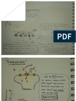 Lab Act Biolistrik