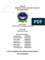 PDF Makalah Perubahan Bio Psikososial Spritual Cultural Yang Lazim Pada Proses Menua Compress