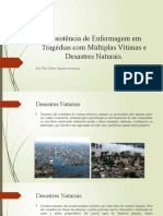 Assistência Enfermagem Desastres Naturais