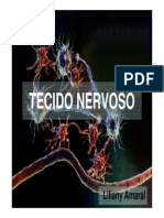 Estrutura e função do tecido nervoso