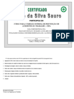 Certificado Cipa