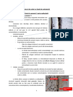 curs-5-Leziuni-de-colet-cu-lipsa-de-substanta