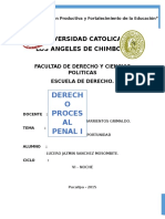 Monografia Principio de Oportunidad