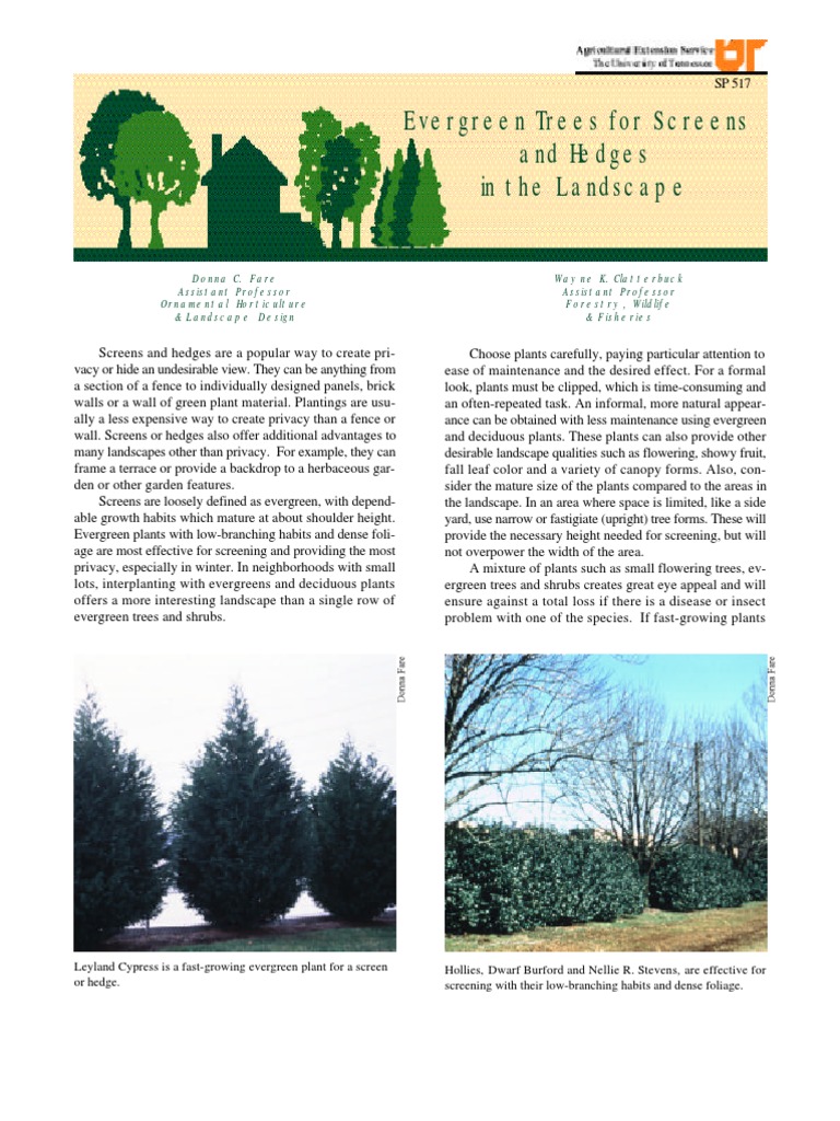 Evergreen Trees For Screens and Hedges in The Landscape Extremlym PDF