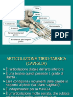 caviglia-piede-volta plantare