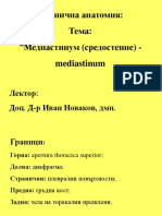 Mediastinum Fossa Axillaris Clinical - Anatomy
