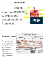 Intro to Digestion (1)