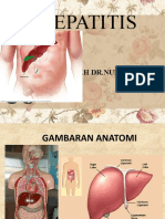 PP Hepatiti