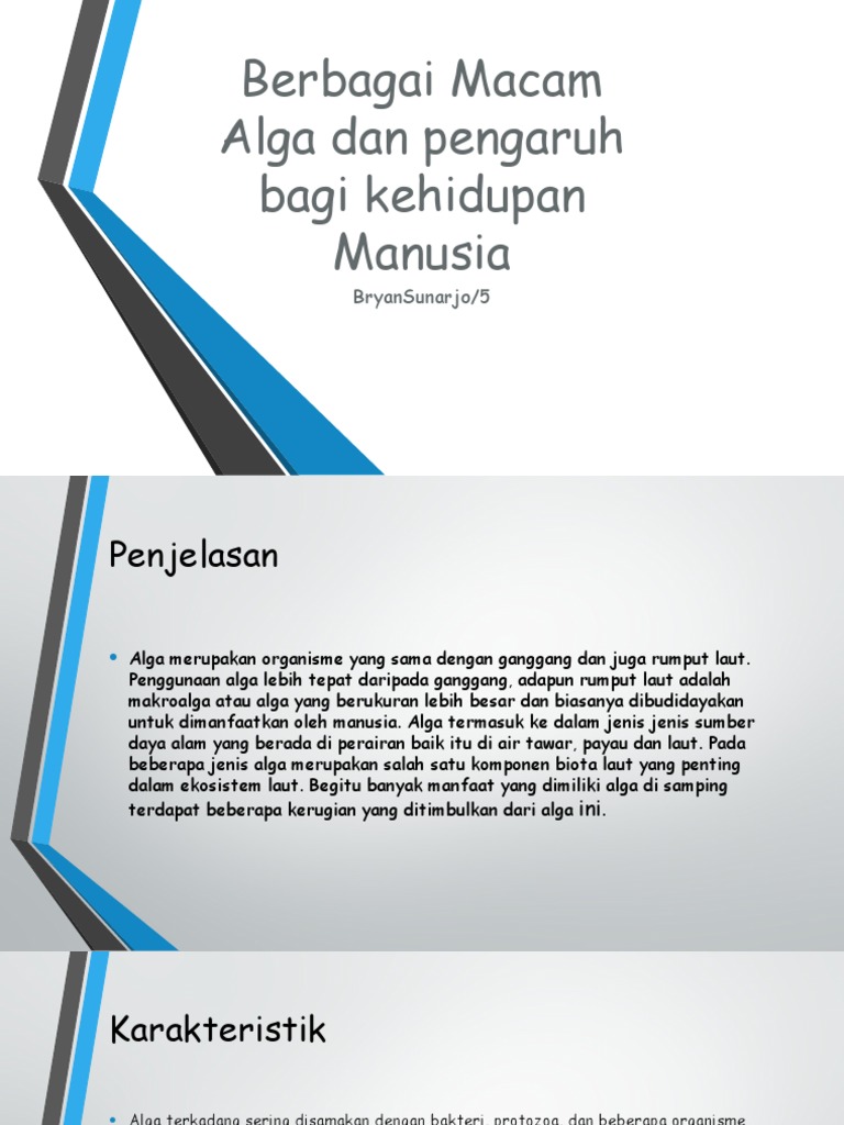 Berbagai Macam Alga Dan Pengaruh Bagi Kehidupan Manusia BryanSunarjo | PDF