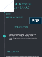 Topic-Multilaterasim Sub-Topic - SAARC: 19003 Shubham Pandey