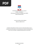 Modelo Simplificado de PTS | PDF