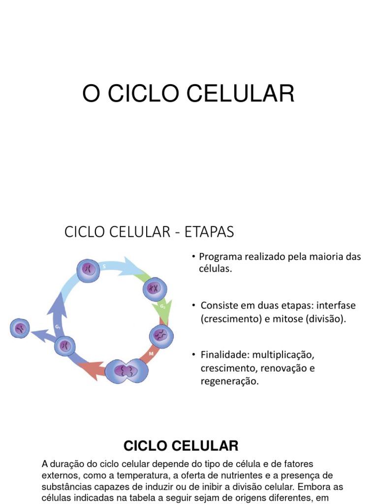 Etapas e Controle do Ciclo Celular | PDF | Mitose | Ciclo de célula
