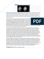 Mecanisme Neurologice