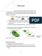 Fotossíntese - Resumos