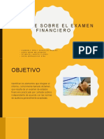 Informe Sobre El Examen Financiero Equipo 10