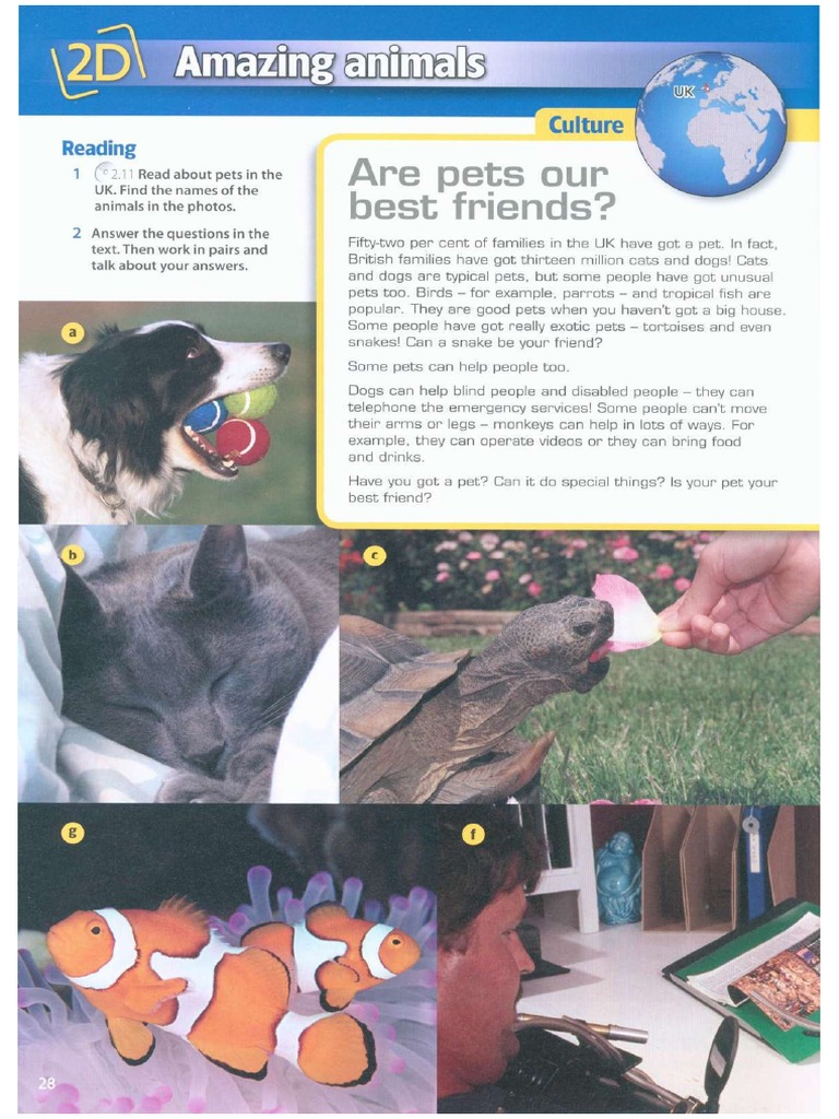 2D Amazing Animals PDF