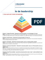 5 Niveluri de Leadership