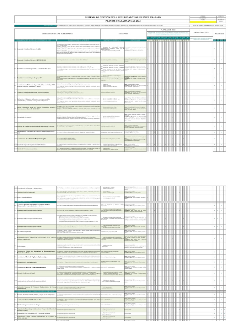 Plan de Acción SST 2022 | PDF | Presupuesto | Ciencias de la Salud