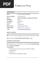 modelo-de-curriculum-vitae-mo-ambicano-pdf