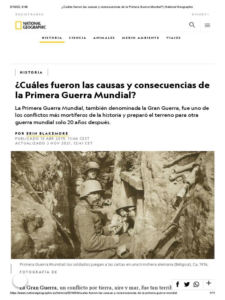 ¿Cuáles Fueron Las Causas y Consecuencias de La Primera Guerra Mundial ...