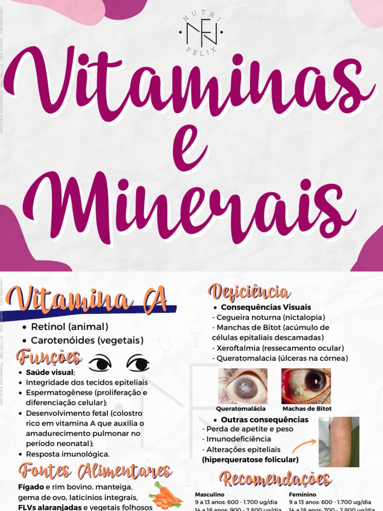 mapas-mentais-vitaminas-e-minerais-larissa-felix-pdf