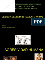 5.agresividad Humana