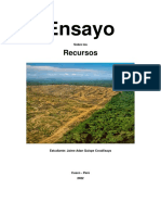 Ensayo Sobre El Sobre Consumo de Los Recursos