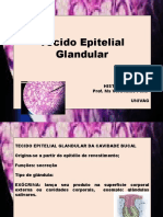 Aula T. Glandular Odo