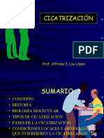 01 Cicatrización