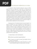 Download IMPORTANCIA DEL PROCESO DE COMPRESIN DEL GAS NATURAL by Ruben Sanchez Vegas SN59974432 doc pdf
