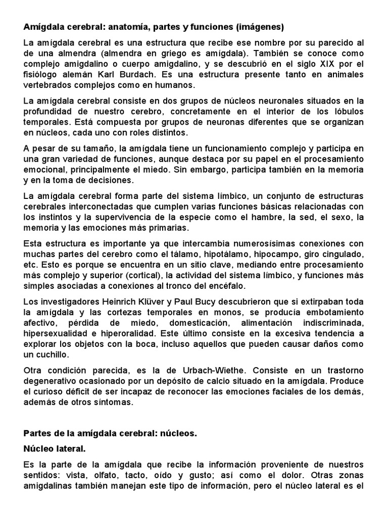 Funciones de la amígdala cerebral | PDF | Amígdala | Las emociones