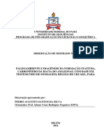 Dissertacao PaleoambienteDiageneseFormacao